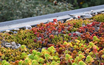 the cost of Trumpet green roof installation